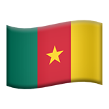 flag: Cameroon