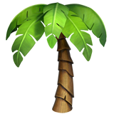 palm tree