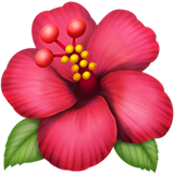 hibiscus