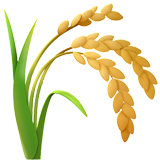 sheaf of rice