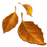 fallen leaf