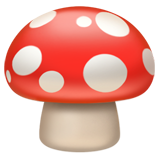 mushroom