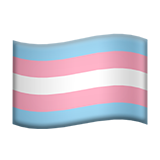 transgender flag