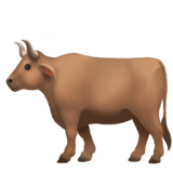 ox