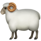 ram