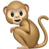 monkey