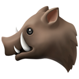 boar