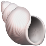 spiral shell