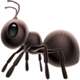 ant