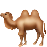 two-hump camel