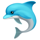 dolphin