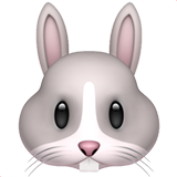 rabbit face