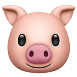 pig face