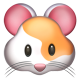 hamster