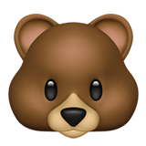 bear