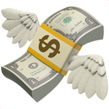 money with wings