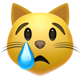 crying cat