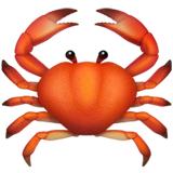 crab