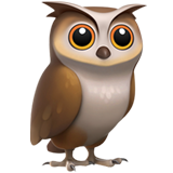 owl