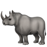 rhinoceros