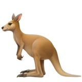 kangaroo