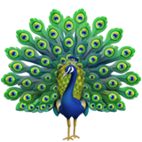 peacock