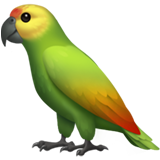 parrot