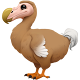 dodo