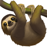 sloth