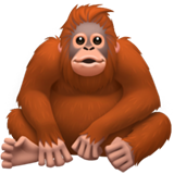 orangutan