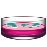 petri dish