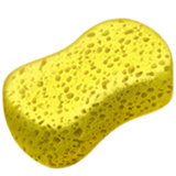 sponge