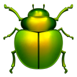 beetle