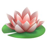 lotus