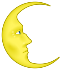 How emoji last quarter moon face displayed on Emojidex