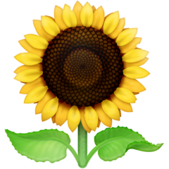 How emoji sunflower displayed on Facebook