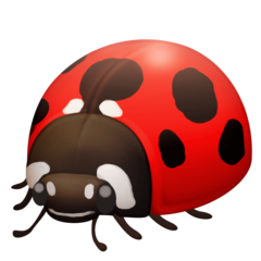 How emoji lady beetle displayed on Facebook