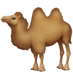 How emoji two-hump camel displayed on Facebook