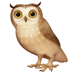 How emoji owl displayed on Facebook