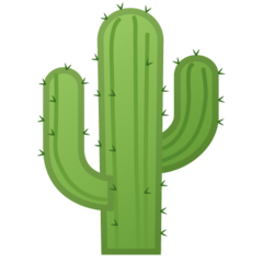 How emoji cactus displayed on Google