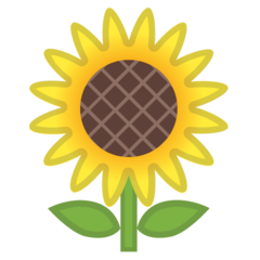 How emoji sunflower displayed on Google