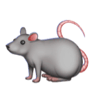 How emoji rat displayed on Huawei