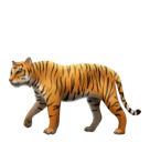 How emoji tiger displayed on Huawei