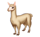 How emoji llama displayed on Huawei