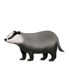 How emoji badger displayed on Huawei