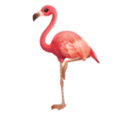 How emoji flamingo displayed on Huawei