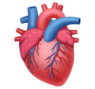 Emoji Hati Anatomis anatomical Heart Beserta Penggunaanya Dunia emoji-hati-anatomis-anatomical-heart-beserta-penggunaanya-dunia