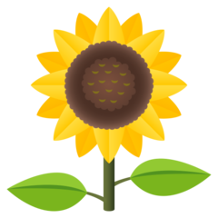 How emoji sunflower displayed on Joypixels