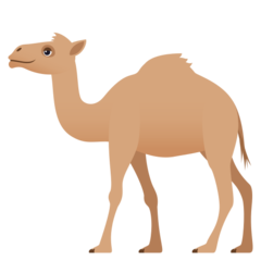 How emoji camel displayed on Joypixels