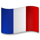 How emoji flag: France displayed on LG